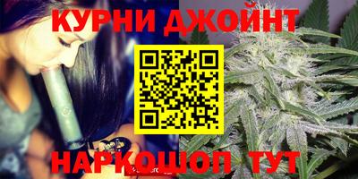 сатива Анапа
