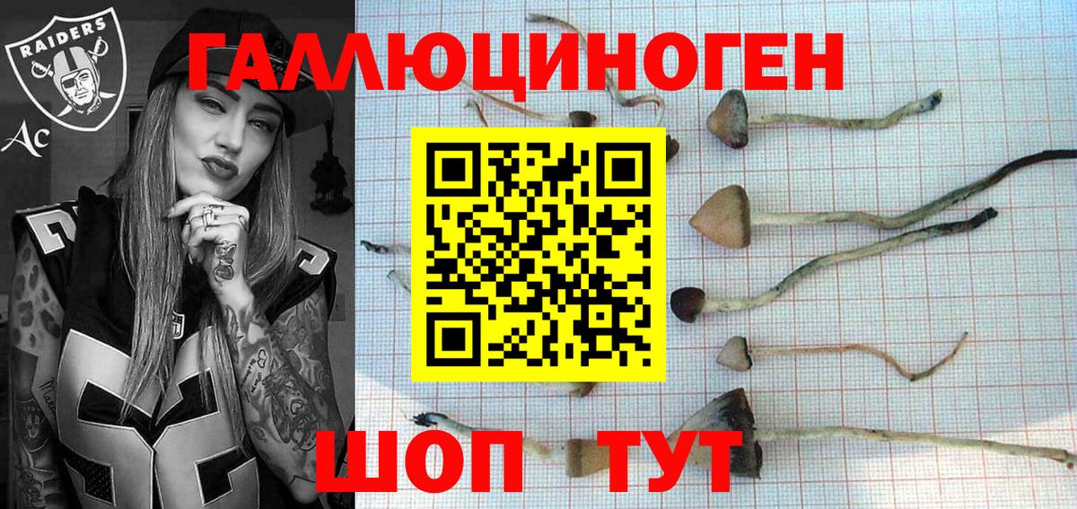 Бийск  Галлюциногенные грибы Cubensis  Вход с VPN 