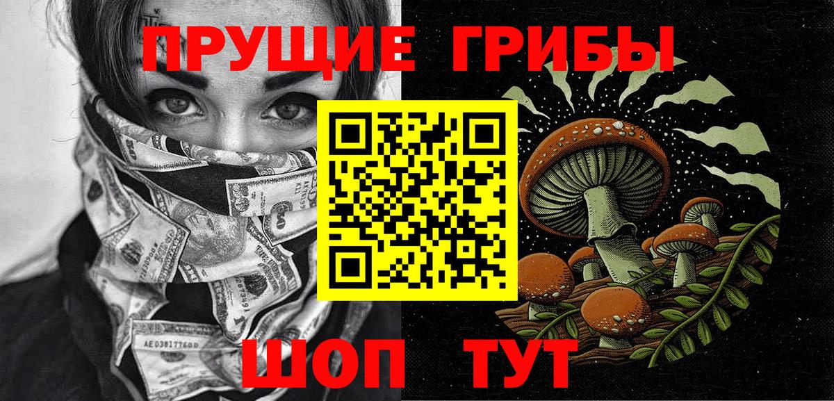 Псилоцибиновые грибы GOLDEN TEACHER Бийск